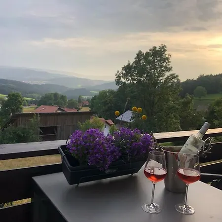 Apartment Taelerblick Maxi -Neu Modernisiert- Böbrach Extérieur photo